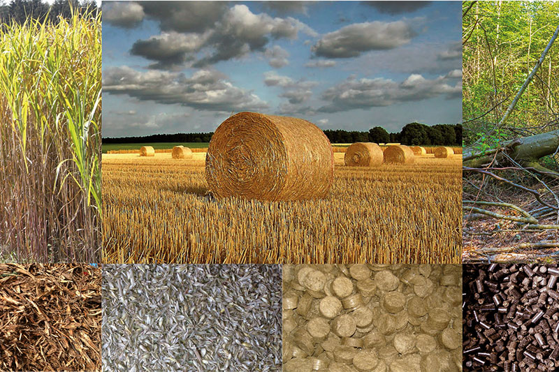 Für alle Biomasse-Brennstoffe
