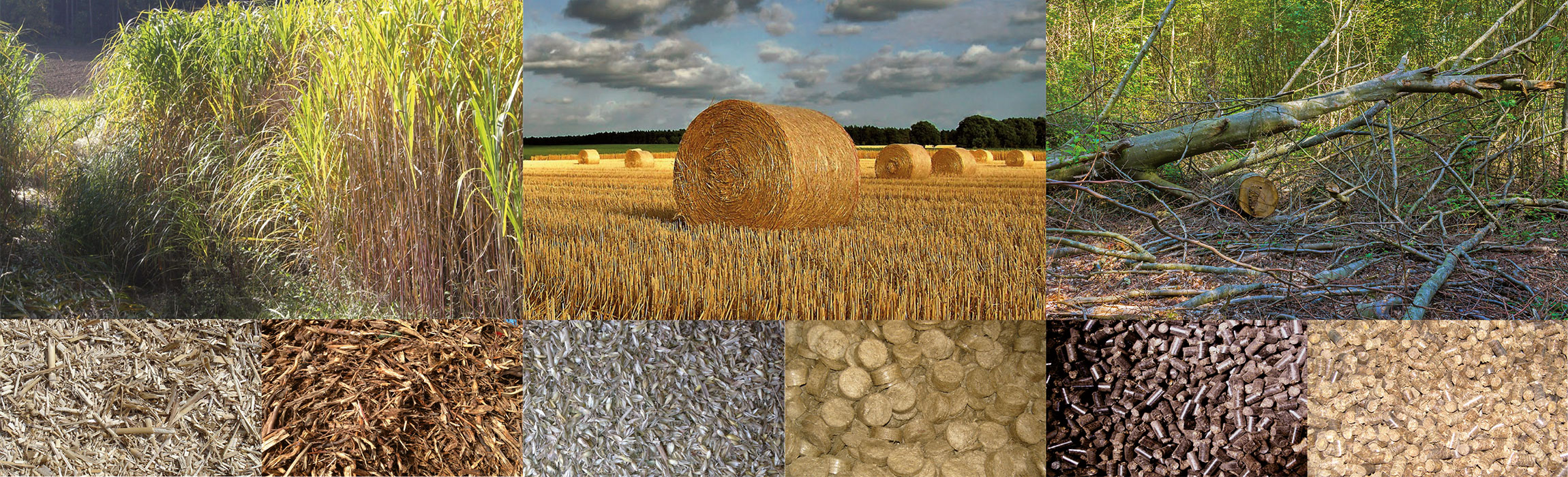 Biomass boiler