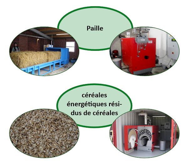 02 combustibles paille cereales