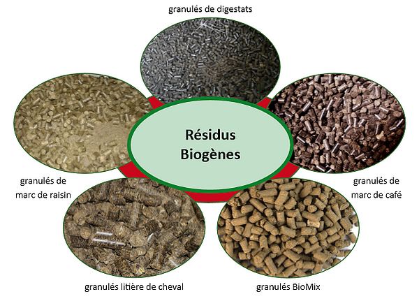 04 combustibles residus biogenes